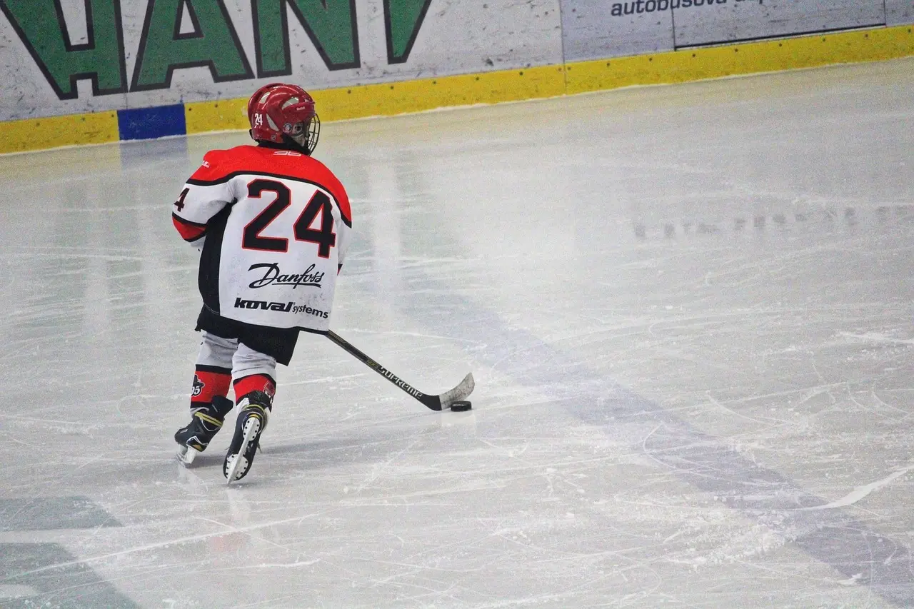 Detroit Red Wings stillinger