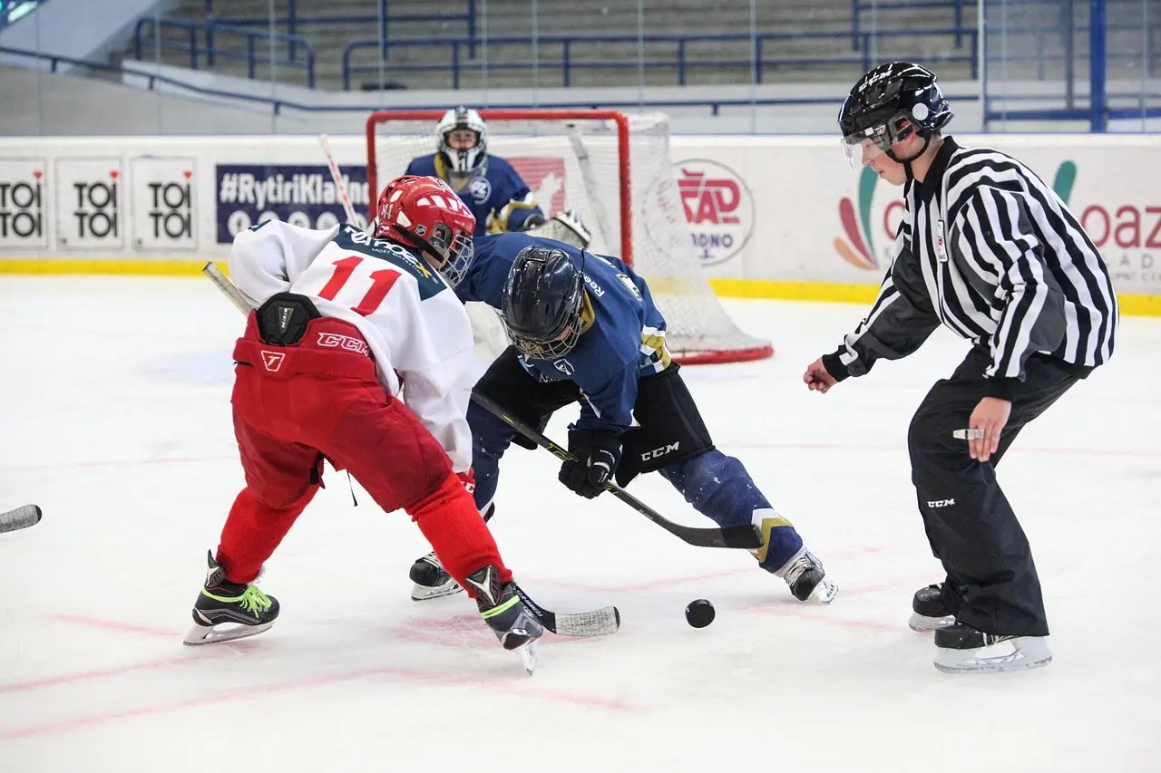 Ishockey regler
